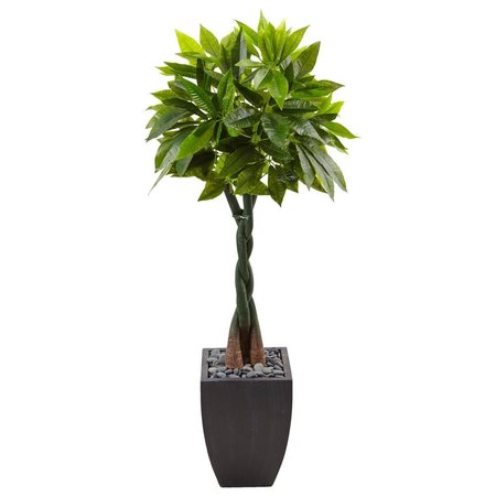 NEARLY NATURAL 5 ft. Money Tree in Black Square Planter 5978